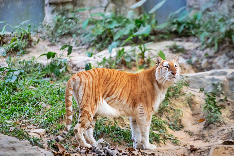 寒假亲子游推荐广东,广东自驾亲子游十大排名