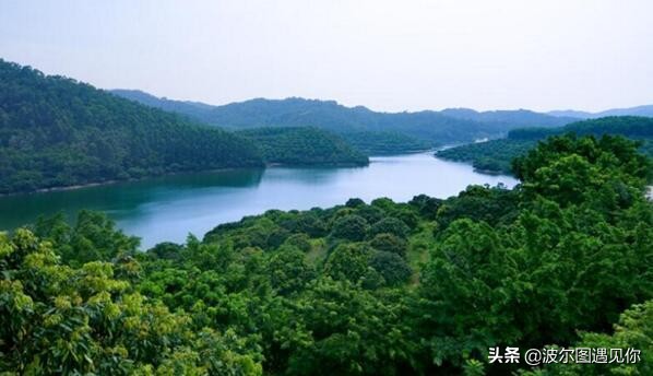 虎门大桥在哪里观赏比较好,看虎门大桥的最佳位置