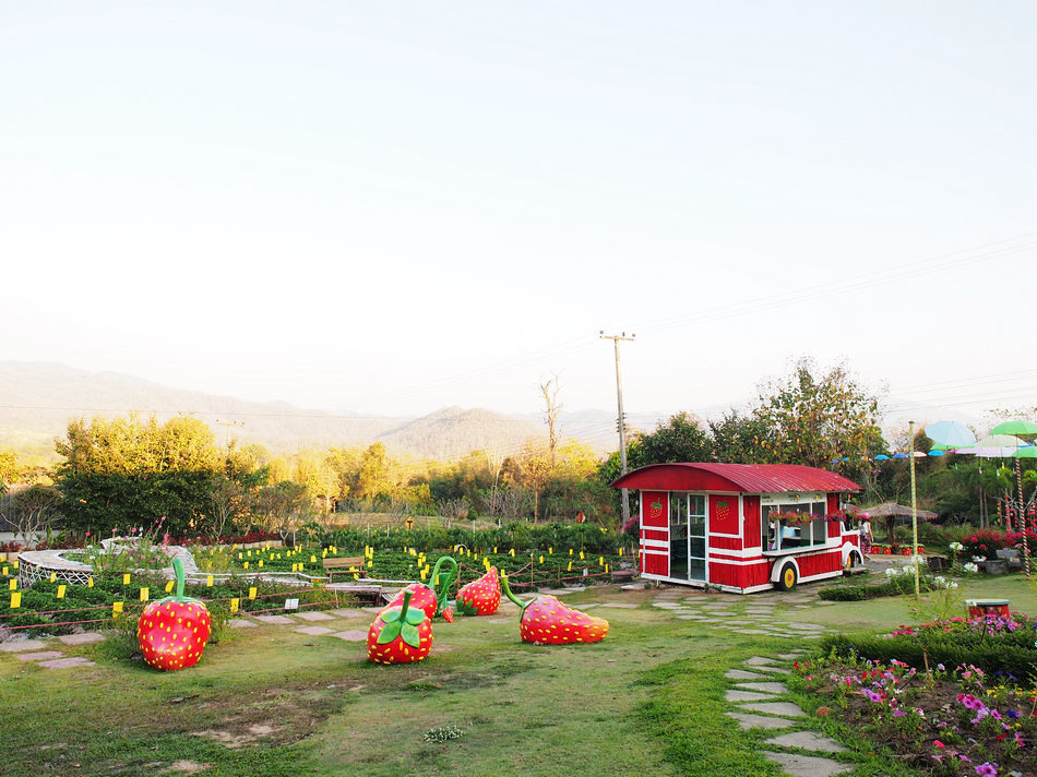 泰国7日游旅游攻略,泰国五日游攻略详细