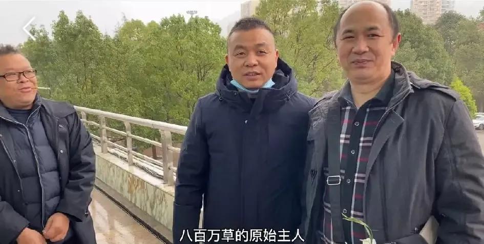 最贵的蕙兰多少钱一只,最便宜的蕙兰多少钱一株