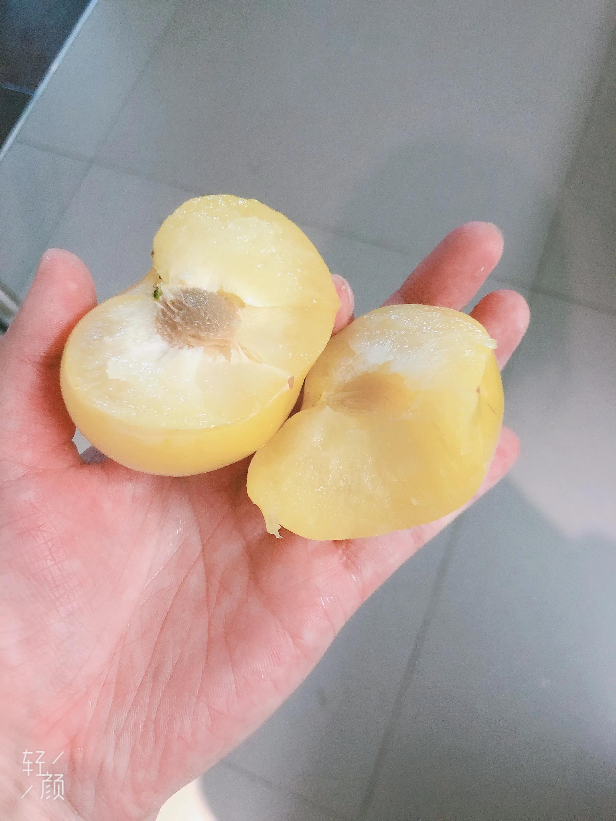 采蘑菇的小姑娘歌曲原唱,采蘑菇的小姑娘的歌词