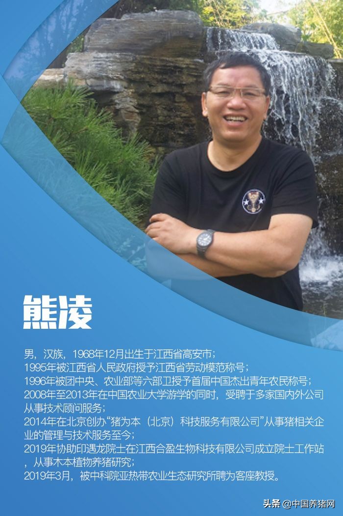 非瘟拔牙成功的案例,拔牙治愈过程