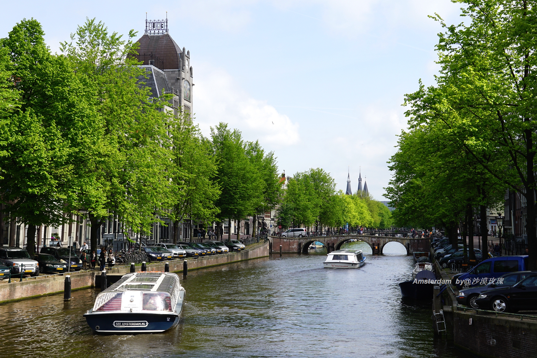 带你观赏荷兰郁金香,荷兰郁金香花海什么时候开