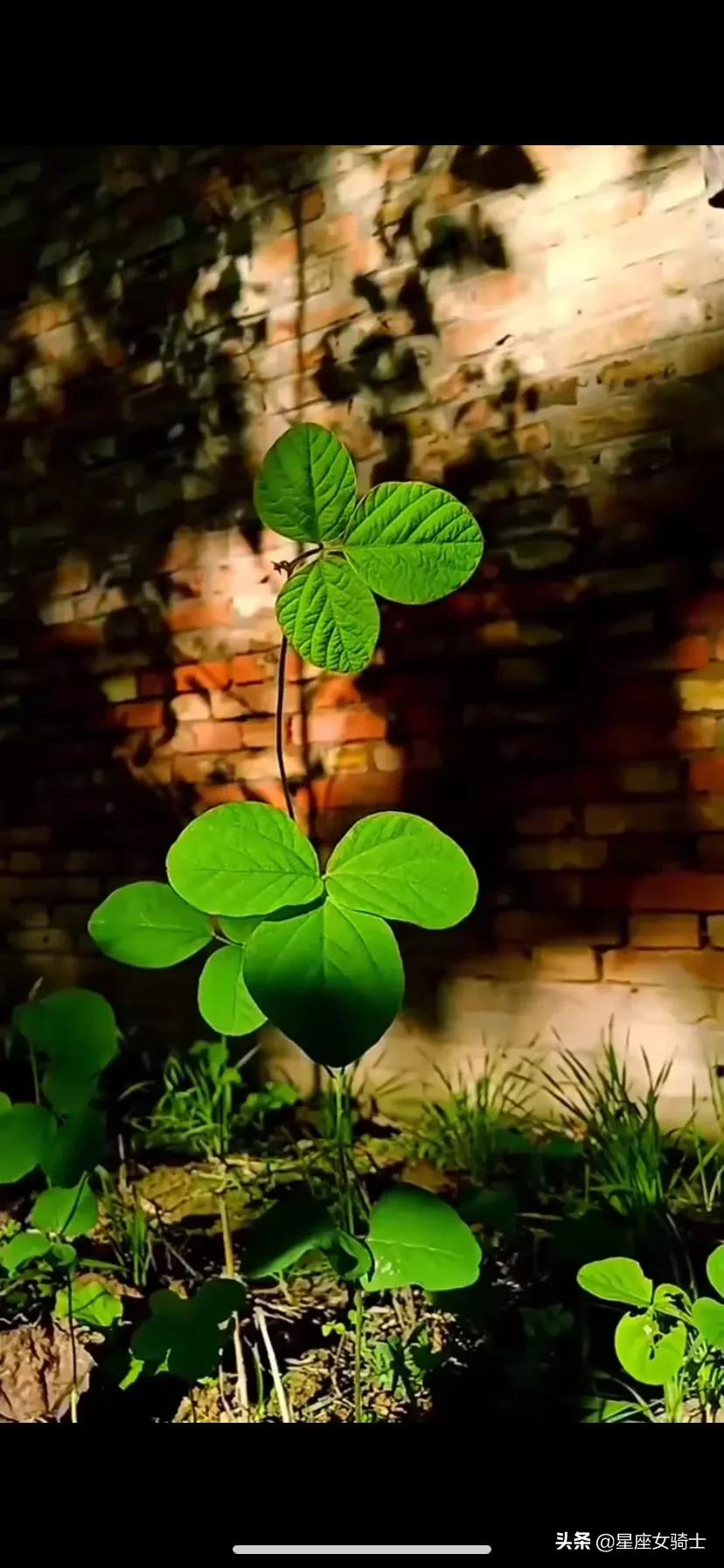 摩羯男和水瓶女星座在一起合适吗,摩羯男和水瓶女关系