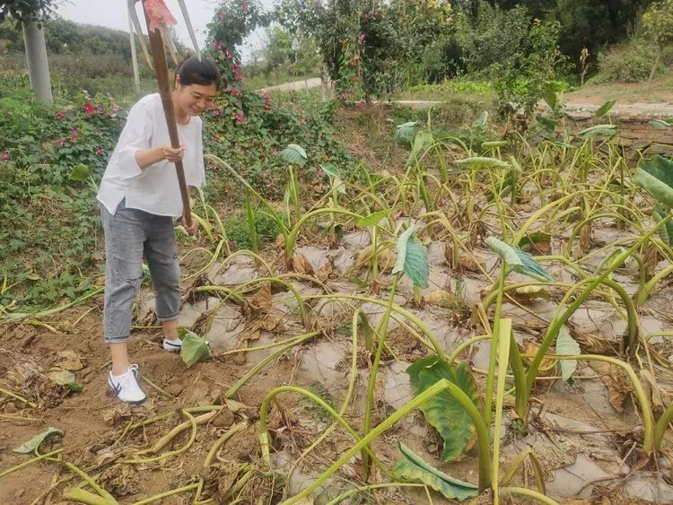 济南申请加入“大乱斗”！@理塘丁真，你的珍珠……泉在这里！