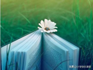 三年级语文书70页想象类作文300字,三年级语文作文占多少分