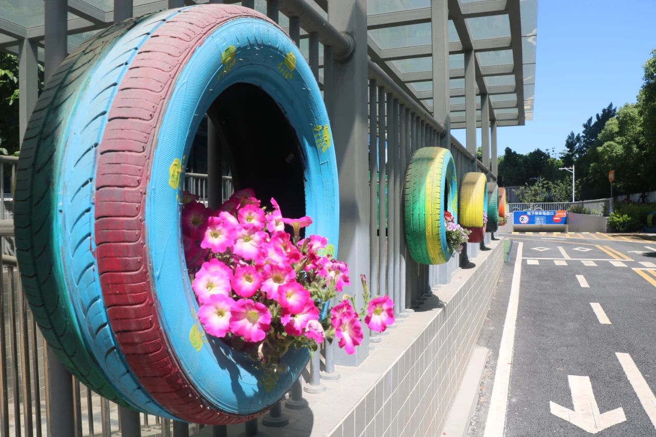 河西区公办小学,南京河西南有哪些好的小学