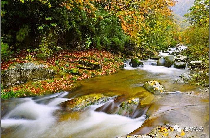 静美佛坪第一期视频,静美佛坪完整视频