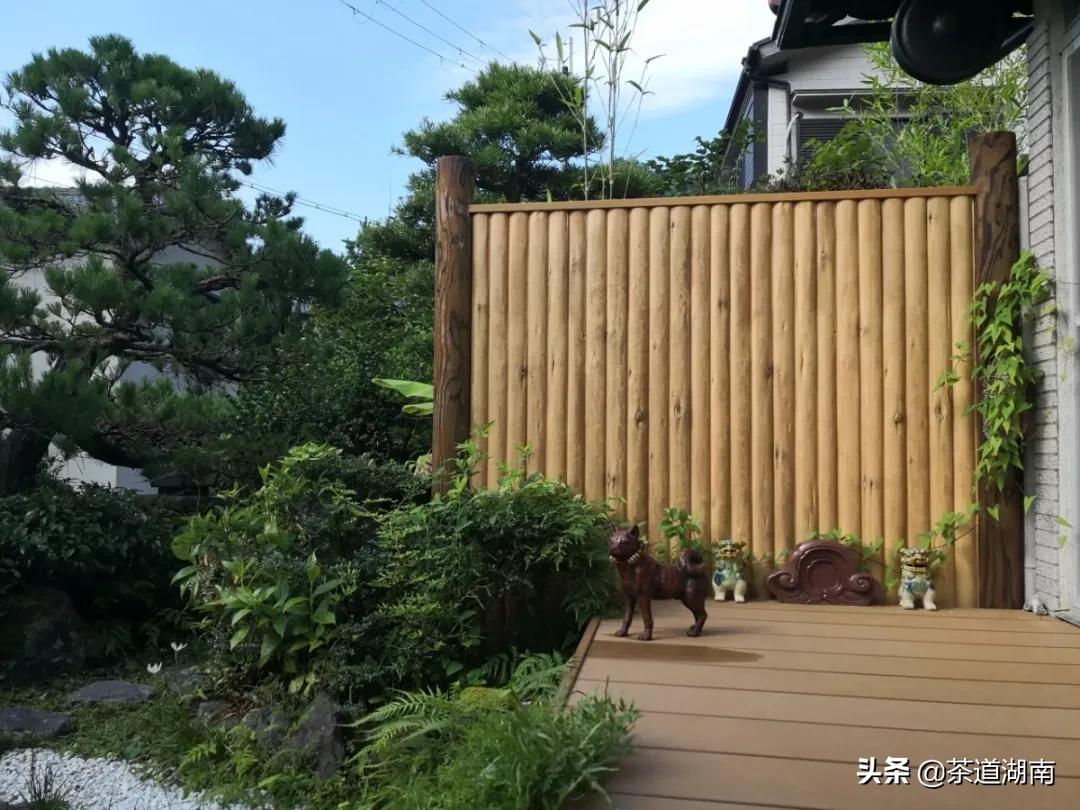 四月天一茶一粥,最美四月天奔赴一场春天的约会