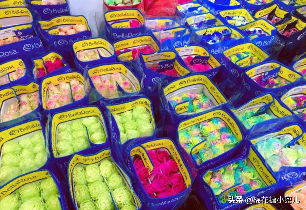 北京盆栽花卉批发市场,北京众兴花卉批发市场