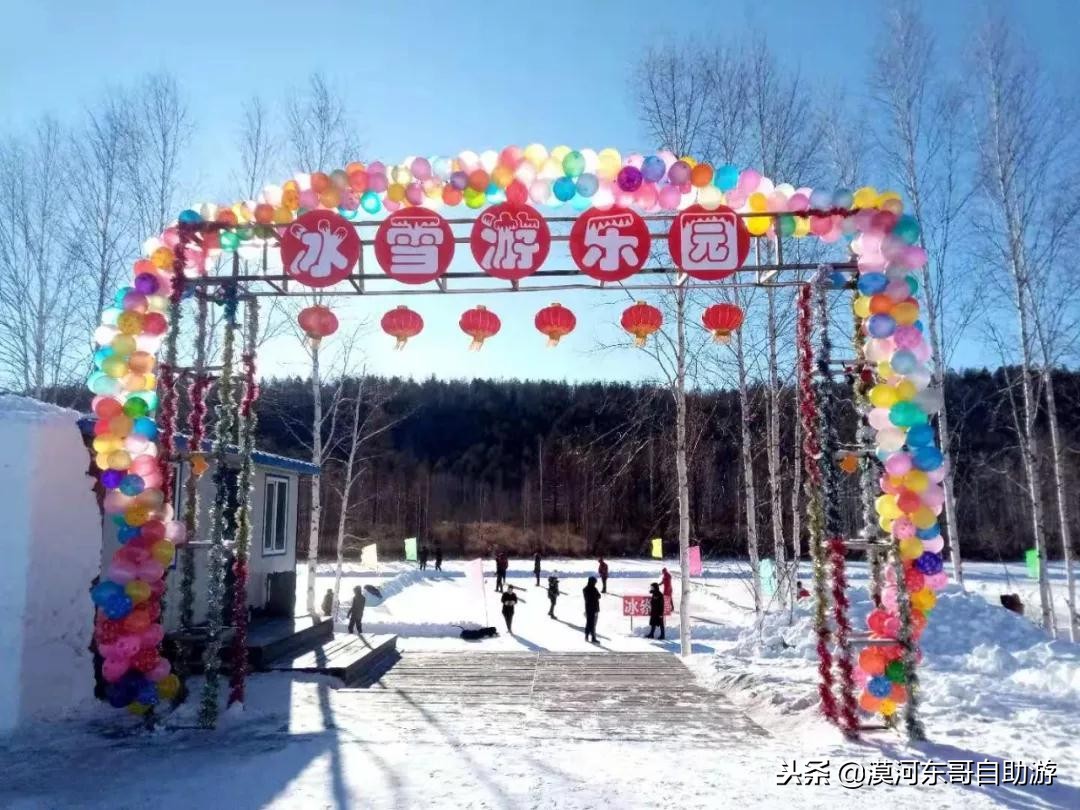 漠河极寒之旅,漠河遇到熊