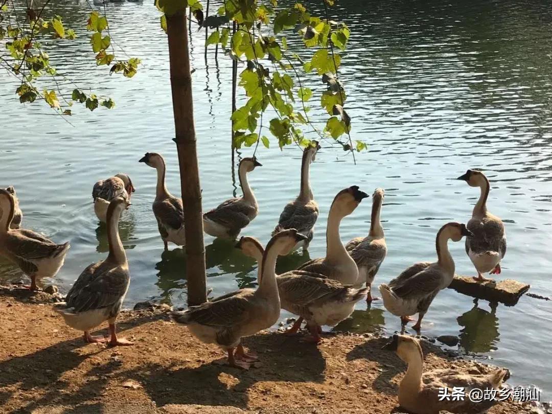 潮汕海山风情图片,饶平海山风情