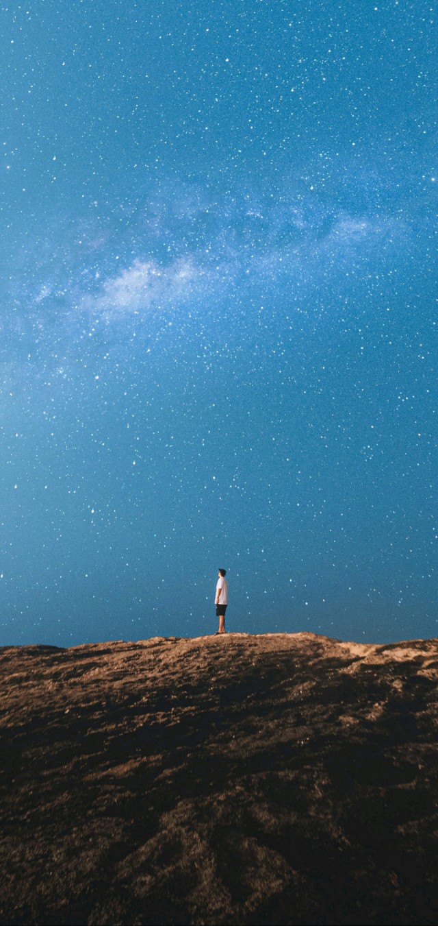 爱丽丝梦游仙境壁纸樱花校园,手机壁纸樱花