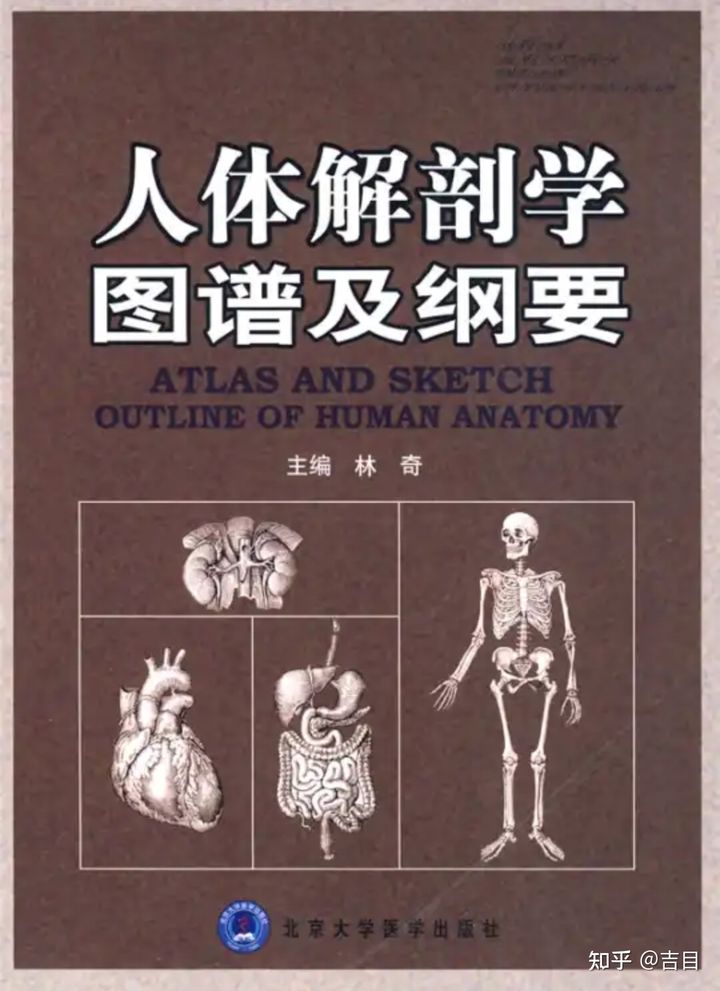 人体解剖学图谱该怎么买,奈特人体解剖学图谱怎么样
