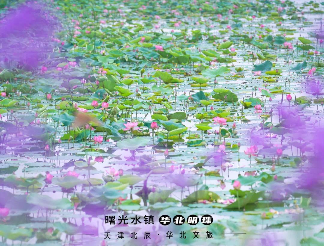 天津景点豪华,天津景点费用