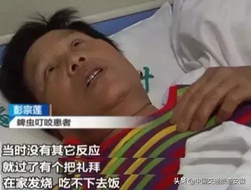 安医大二附院最新消息今天,安医大二附院住院部最新消息