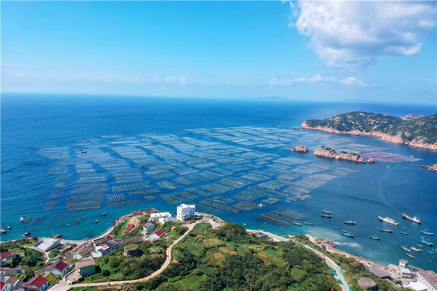 嵊泗美食推荐攻略,嵊泗列岛旅游攻略美食