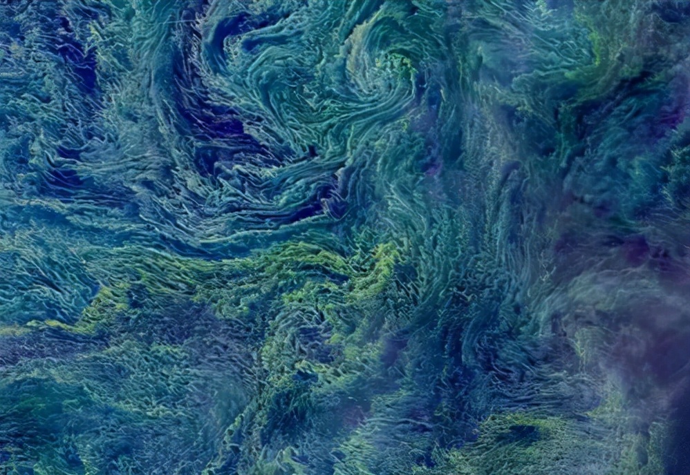 地球上出现最早的藻类,藻类是地球上最早的植物吗