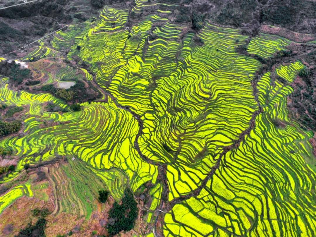 疫情防控取得阶段性胜利有序恢复,疫情胜利在望