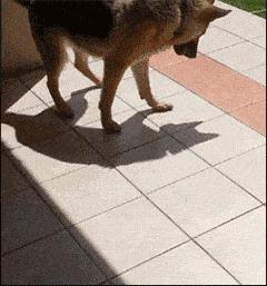 搞笑动图gif高清,搞笑动图gif微信表情包