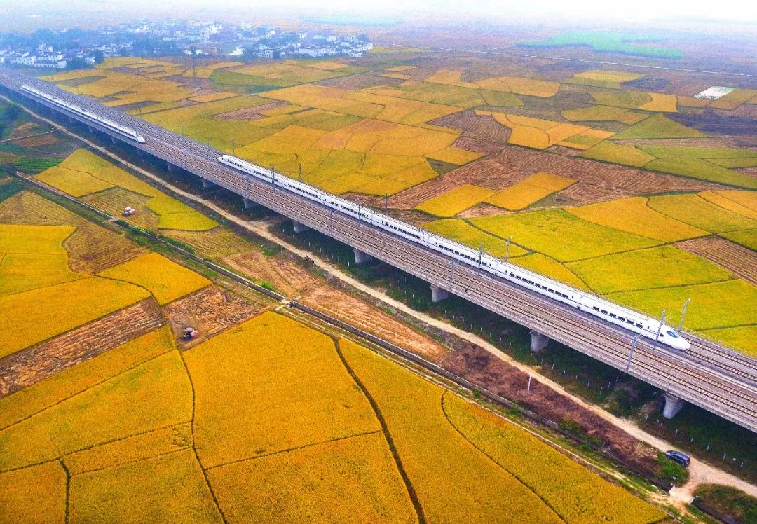 广西最好吃的米是什么米,广西十大优质米排名