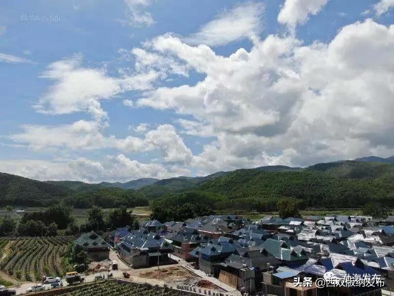 云南省现代化边境小康村,勐海乡村振兴