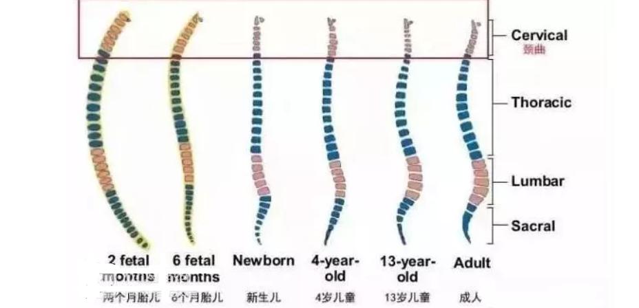 母婴店这7样东西是交“智商税”,买了都闲置,你怀孕后买过吗?