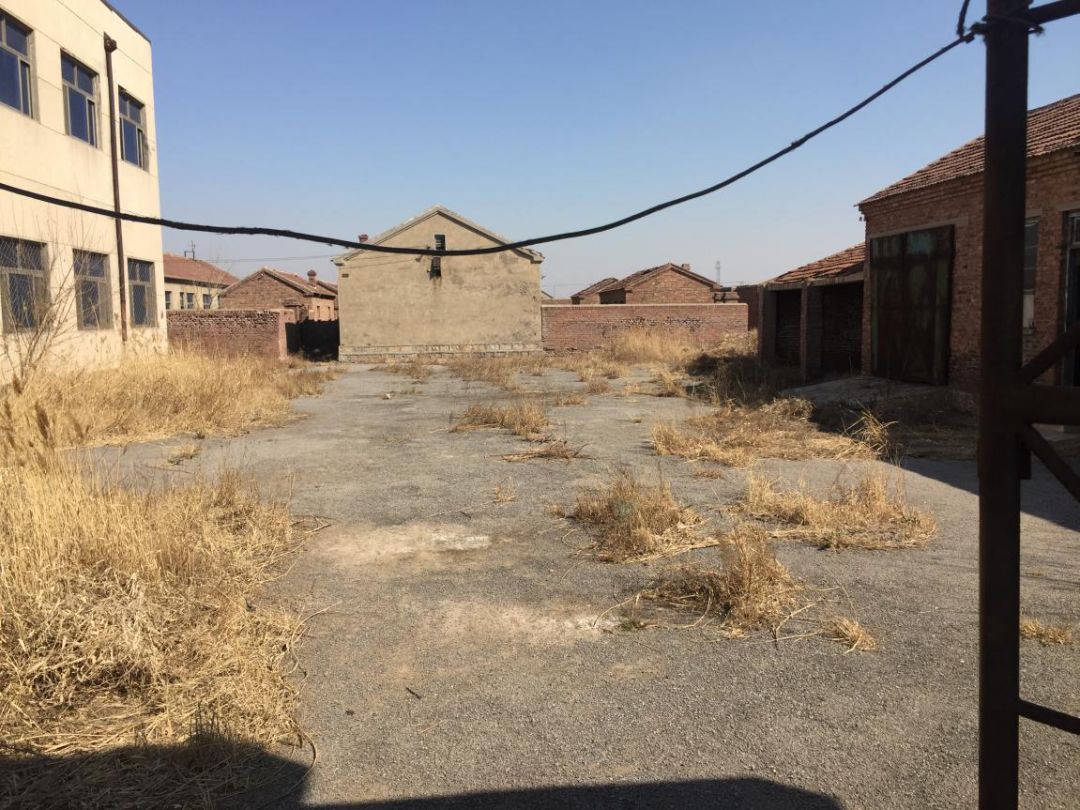 滨州拍卖房最新消息,山东滨州最近拍卖房产信息