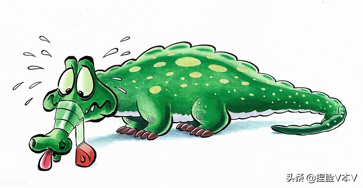 巴菲特一生最大的财富,巴菲特有什么财富