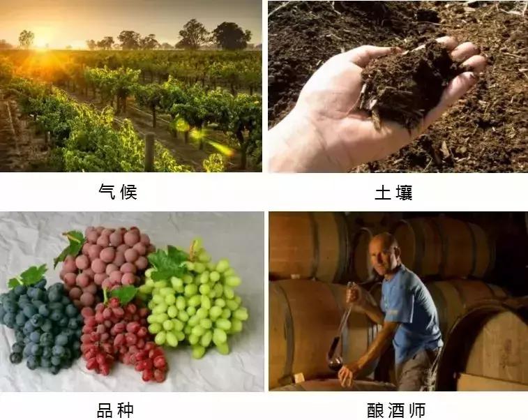 三贤酒庄,三贤酒庄的葡萄酒多少钱一瓶