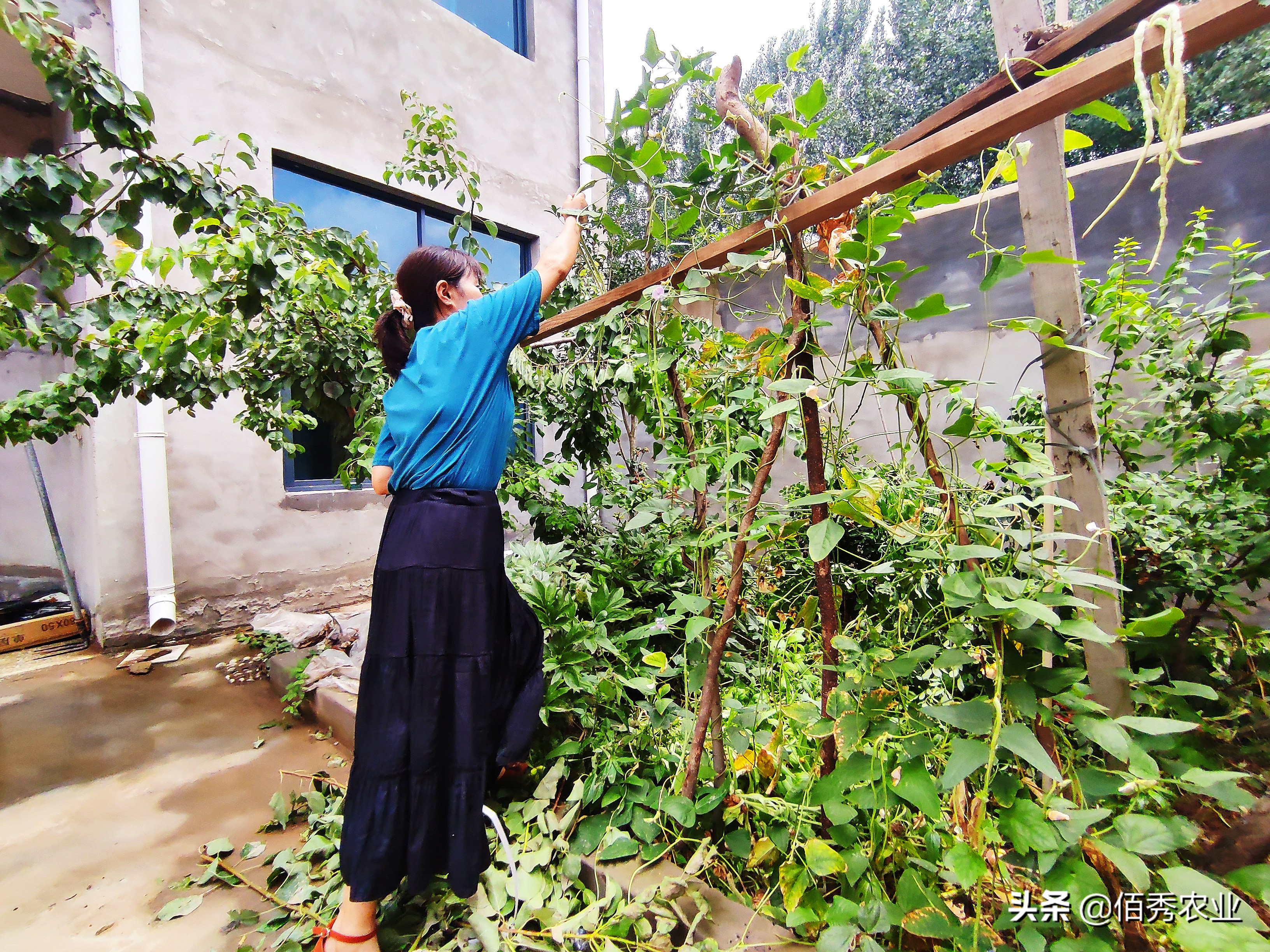23岁不想打工了有什么好门路,创业没门路又不想去打工怎么办