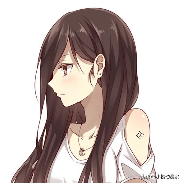 二次元人物有哪些属性,二次元中的正字什么意思