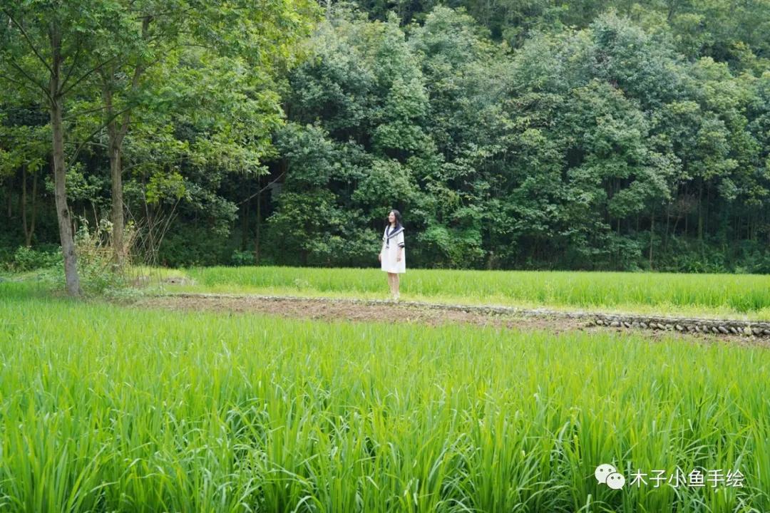 成都四季家园房价多少,四川省成都市的四季