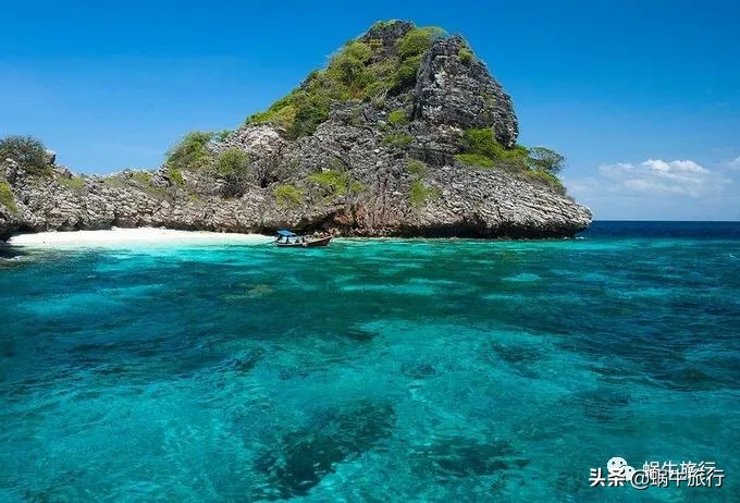 巨蜥像退休大爷休闲漫步；满海的活珊瑚、海葵…国家公园开岛啦