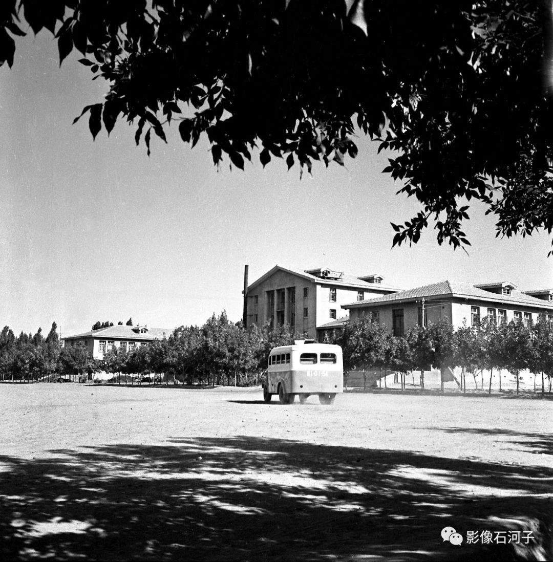 珍贵老影像大全,新疆珍贵老影像