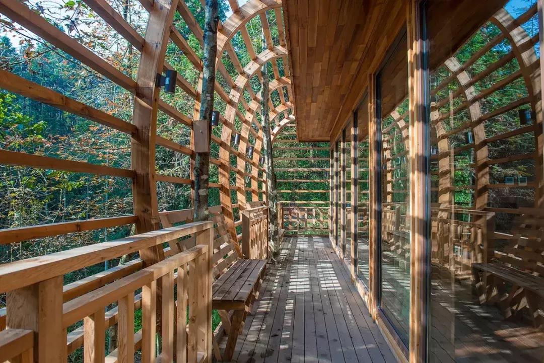 杭州1.5h就有不输清迈的丛林树屋