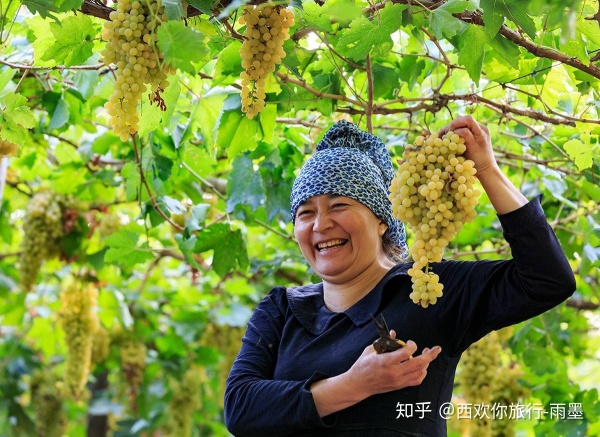 *疆新**瓜果攻略最好的季节配最美味的水果