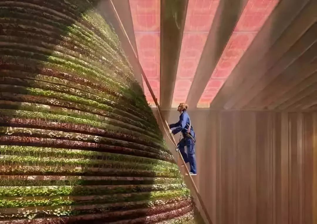 2020有钱的迪拜要办世博会了，各国展馆“群魔乱舞”！建筑师冲啊