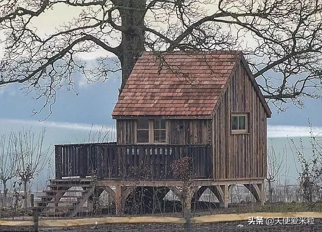 1岁的Stormi有主题乐园，7岁小七做spa，星二代究竟多烧钱？