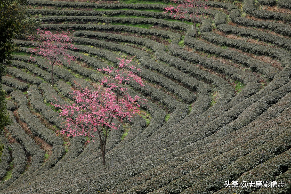 无量山镇游玩攻略一日游,无量山旅游攻略一日游多少钱