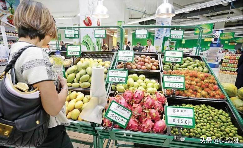 柬埔寨淘金好吗,柬埔寨淘金为什么便宜