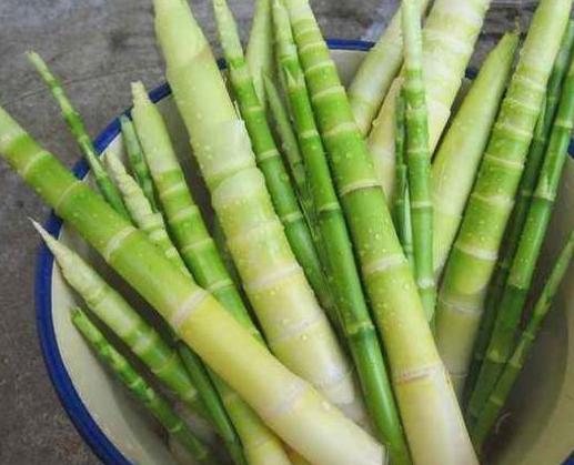 藏在竹林里的4种美食,我确信你只知道竹笋,全吃过是正宗南方人