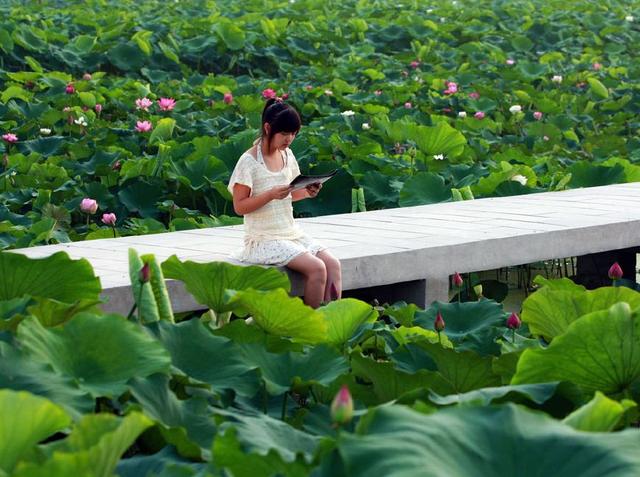 舌尖上的美食儿时的味道找了好久,有一种美食叫做童年回忆