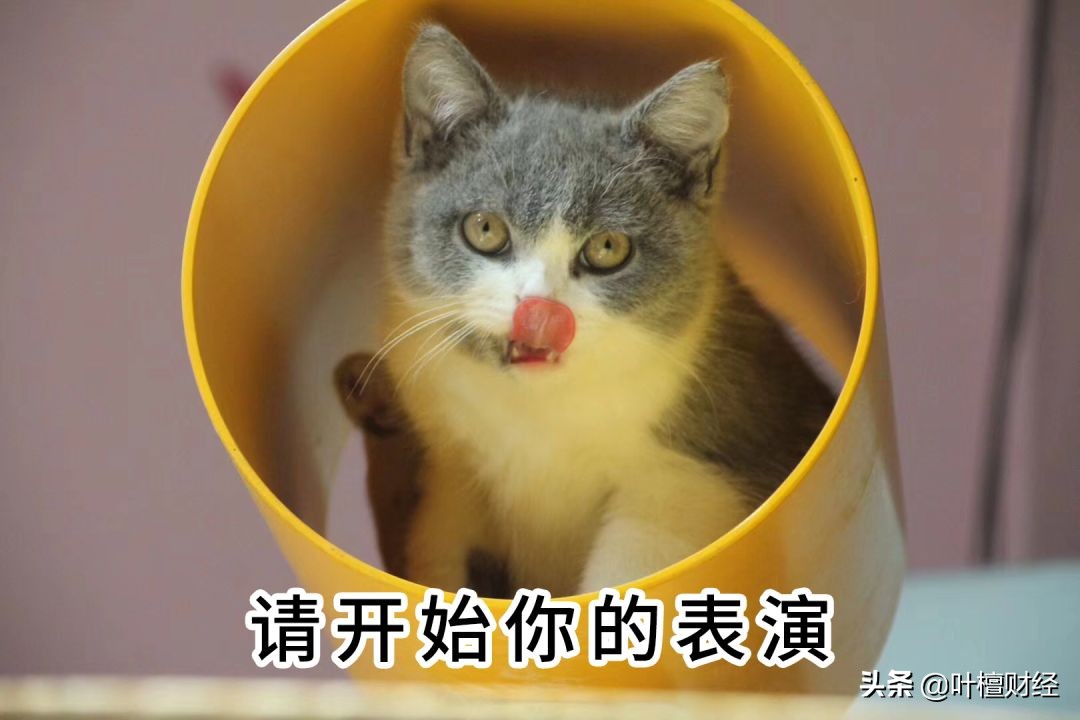 霸气回怼第三者,怒怼第三方催债