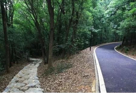 武汉适合骑行绿道公园有哪些,武汉东湖绿道自驾游攻略