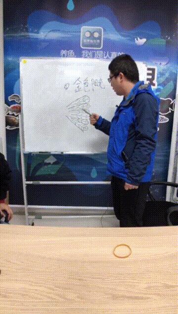 一句话说明观赏鱼的万病之源-鱼病主题直播问答笔记