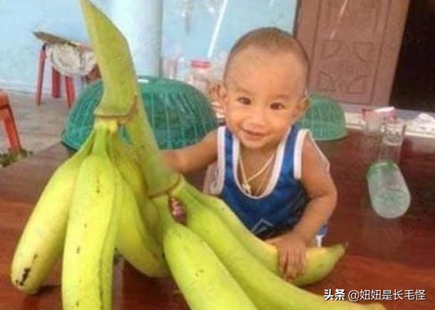 世界上最大芭蕉果的视频,世界上最大芭蕉多少斤重