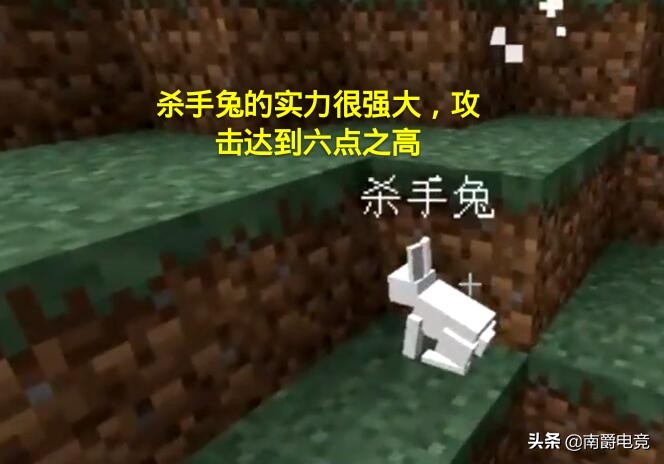 我的世界沙漠的兔子可以被驯服吗,兔子的冷知识之我的世界