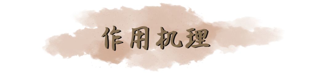 针灸治寒湿腰疼的辨证分型,寒湿腰痛的针灸外治方法