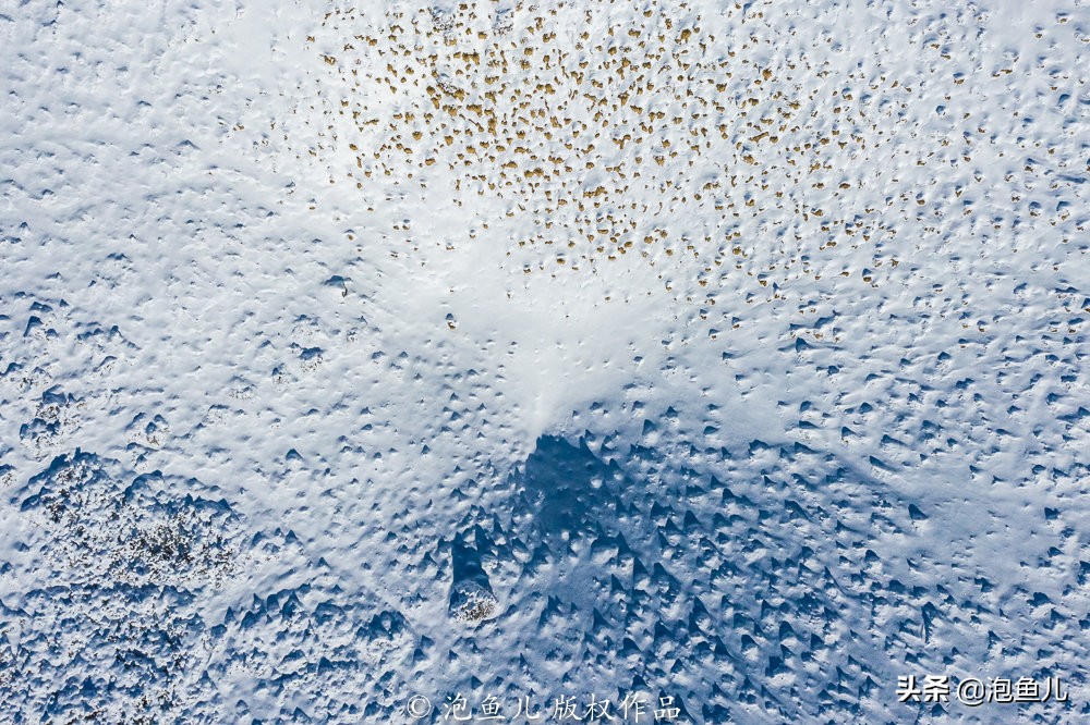 陕西秦岭发现的石头,捡石头下雪了后续